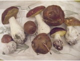 fruitsdecoratifs - .