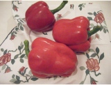 fruitsdecoratifs - .