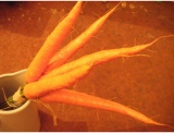 fruitsdecoratifs - .