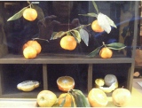 fruitsdecoratifs - .