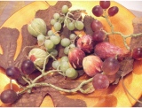 fruitsdecoratifs - .