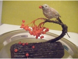 fruitsdecoratifs - .