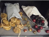 fruitsdecoratifs - .