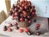 fruitsdecoratifs - .