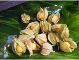 fruitsdecoratifs - .