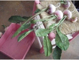 fruitsdecoratifs - .