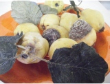 fruitsdecoratifs - .