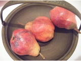 fruitsdecoratifs - .