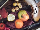 fruitsdecoratifs - .