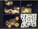 fruitsdecoratifs - .