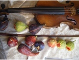 fruitsdecoratifs - .