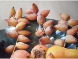 fruitsdecoratifs - .