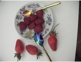 fruitsdecoratifs - .