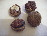 fruitsdecoratifs - .