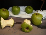 fruitsdecoratifs - .