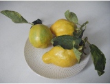 fruitsdecoratifs - .
