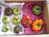 fruitsdecoratifs - .