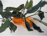 fruitsdecoratifs - .