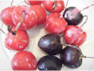 fruitsdecoratifs - .
