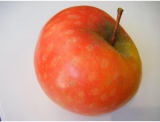 fruitsdecoratifs - .