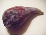 fruitsdecoratifs - .