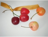 fruitsdecoratifs - .