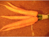 fruitsdecoratifs - .