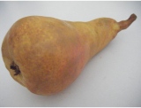 fruitsdecoratifs - .