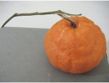 fruitsdecoratifs - .