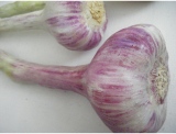 fruitsdecoratifs - .