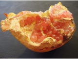 fruitsdecoratifs - .