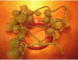 fruitsdecoratifs - .