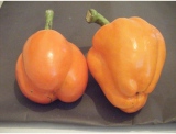 fruitsdecoratifs - .