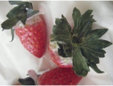 fruitsdecoratifs - .