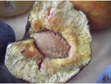 fruitsdecoratifs - .