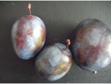 fruitsdecoratifs - .