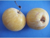fruitsdecoratifs - .