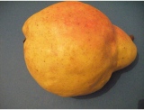 fruitsdecoratifs - .