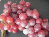 fruitsdecoratifs - .