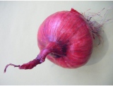 fruitsdecoratifs - .