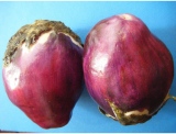 fruitsdecoratifs - .