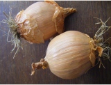 fruitsdecoratifs - .