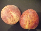 fruitsdecoratifs - .
