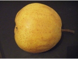 fruitsdecoratifs - .