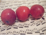 fruitsdecoratifs - .