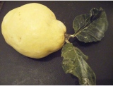 fruitsdecoratifs - .