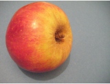 fruitsdecoratifs - .