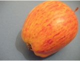 fruitsdecoratifs - .