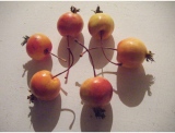 fruitsdecoratifs - .