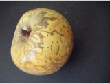 fruitsdecoratifs - .